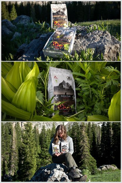 Medium Roast Colombian Coffee Whole Bean | Cocuy Coffee