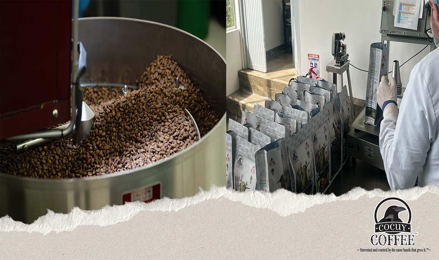 Roasting, packaging, and distribution